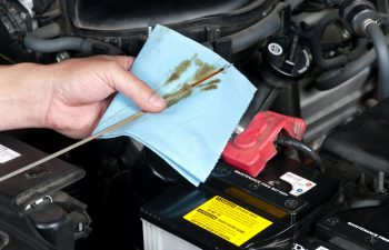Auto Mechanic Checking Oil